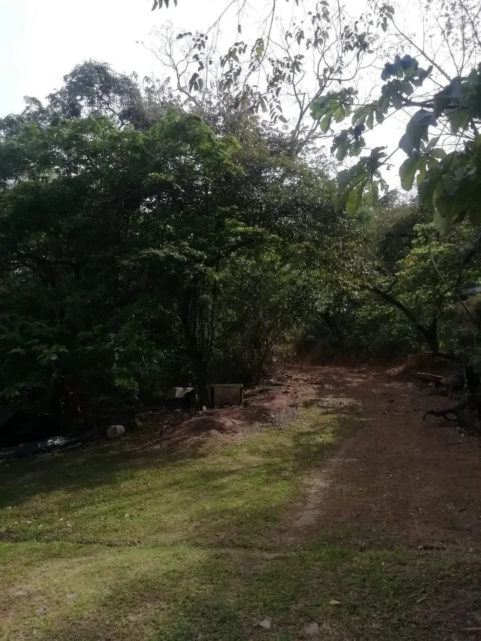 Beautiful lot in Santa Ana for a Developer - photo 2