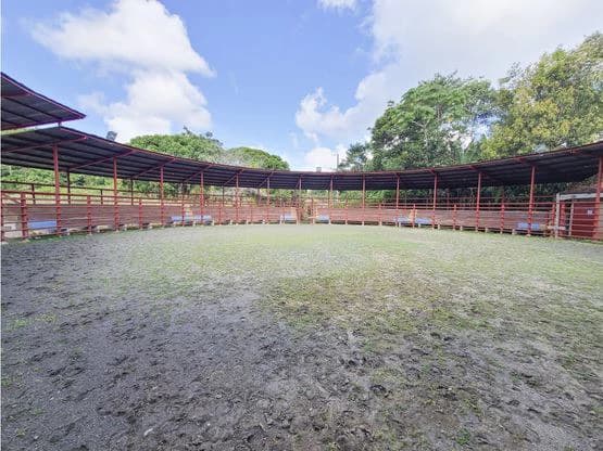 Serene Jungle Farm in Limon Province - photo 51