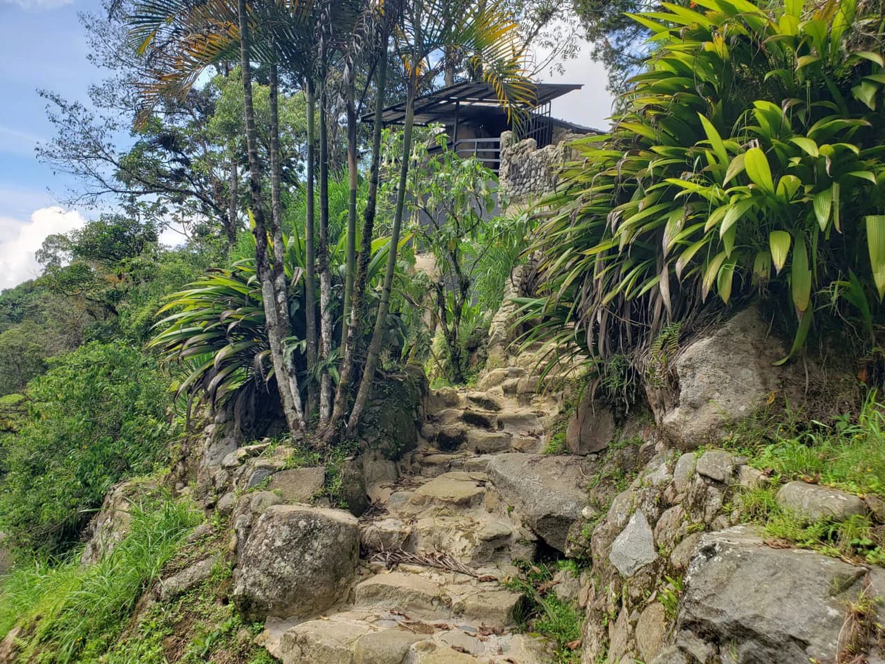 Mountain Retreat with River Views in San Gerardo de Rivas - photo 3
