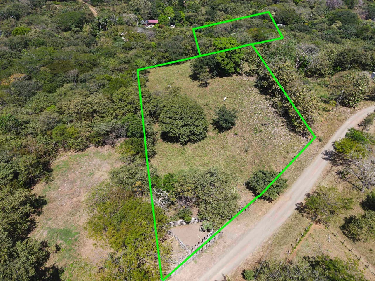 Four Acres of Paradise - photo 2
