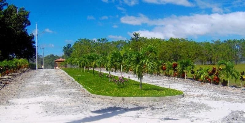 Colorado River Paradise Farm for Sale - Just 10 Minutes from Liberia - photo 3
