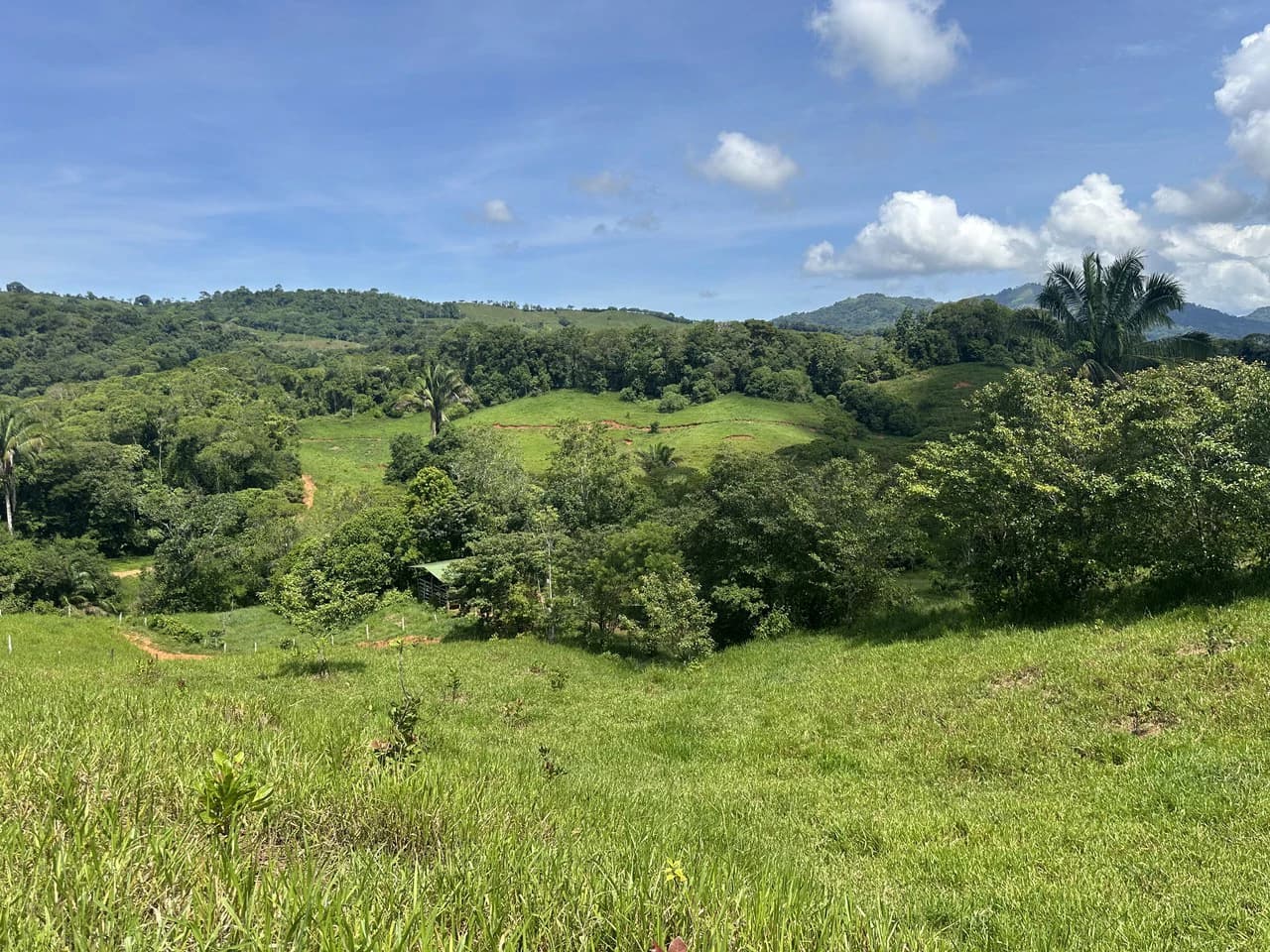 8.78 Acres Mountain View Estate with Water, Infrastructure & Endless Development Potential | Platanillo de Barú, Costa Rica - photo 22