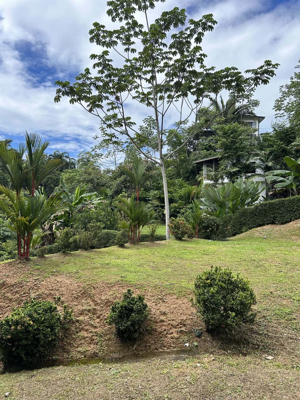 Playa Hermosa: Two Locations to Build, Permits Ready - photo 39