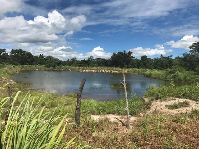 Large Development Land for Sale in Liberia, Guanacaste, Costa Rica - photo 10