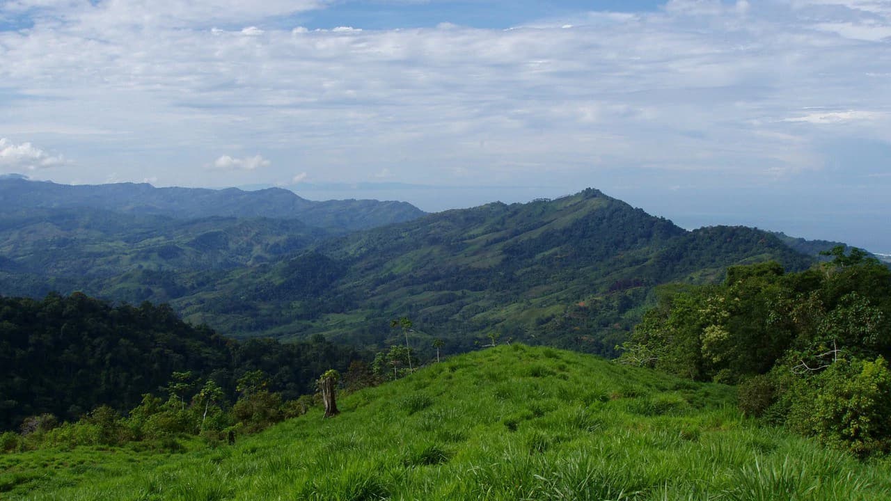 Off Grid 70-Hectare Farm with Stunning Ocean Views and Freshwater Springs - photo 25