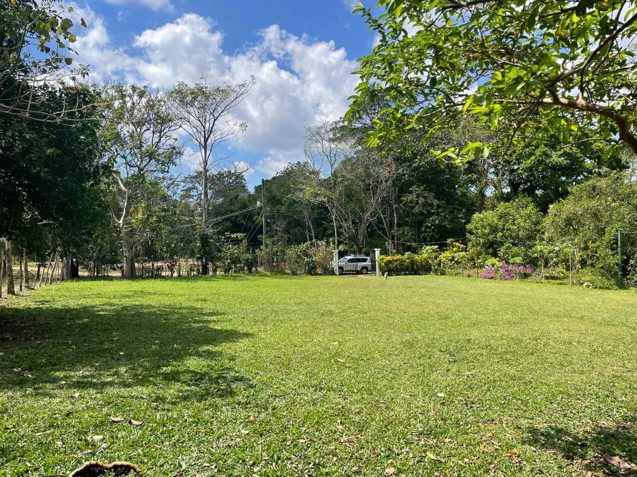 Peace, Privacy, Nature!: Finca in Eco friendly natural area - photo 4