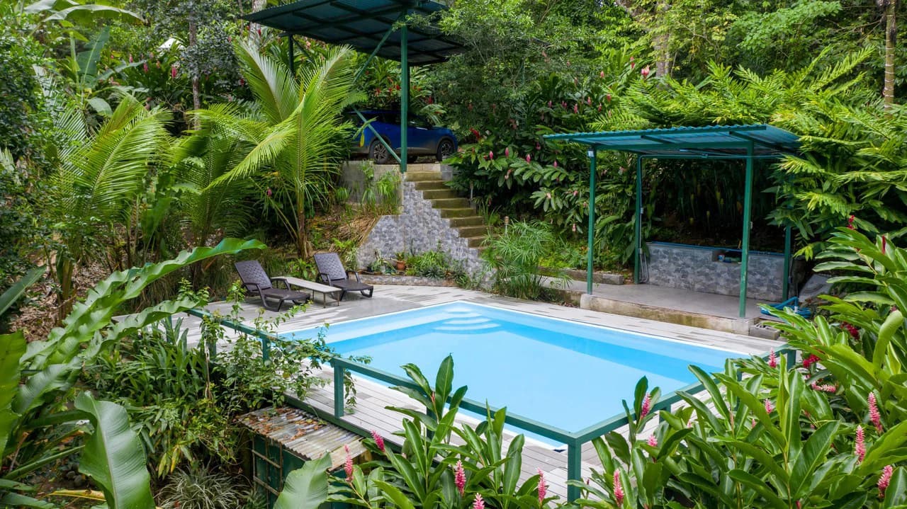 4 Bd/3 Ba - Two Caribbean Homes w/ Pool, on 5000m²: Dual Home Jungle Property in Punta Uva - photo 29