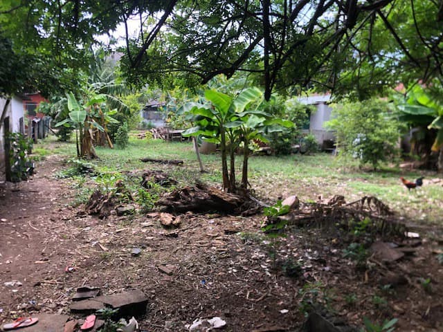 Great Opportunity - Commercial Property in Coco Beach - photo 9