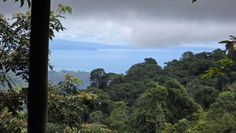 116-Hectare Finca for Sale Near Uvita with Whales Tail Views and 10 Waterfalls | La Faralla, Bahia Ballena, Uvita, Puntarenas, Costa Rica - photo 73