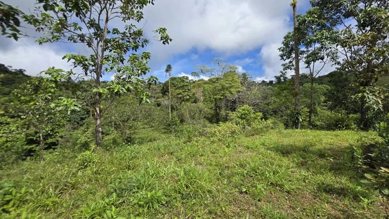 116-Hectare Finca for Sale Near Uvita with Whales Tail Views and 10 Waterfalls | La Faralla, Bahia Ballena, Uvita, Puntarenas, Costa Rica - photo 34