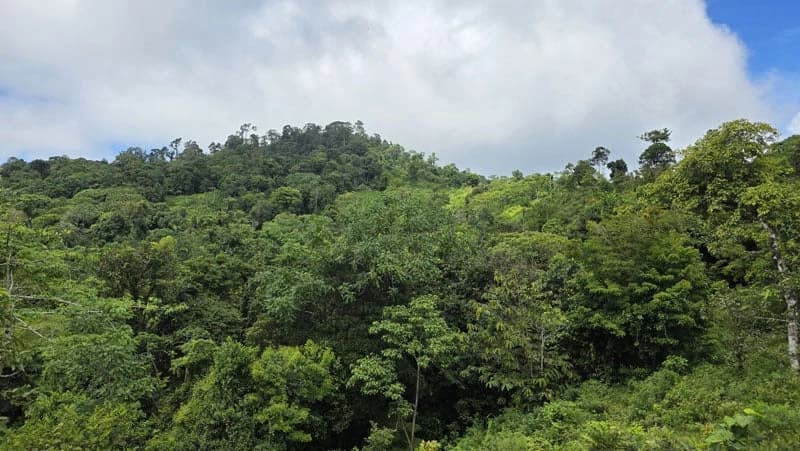 116-Hectare Finca for Sale Near Uvita with Whales Tail Views and 10 Waterfalls | La Faralla, Bahia Ballena, Uvita, Puntarenas, Costa Rica - photo 39
