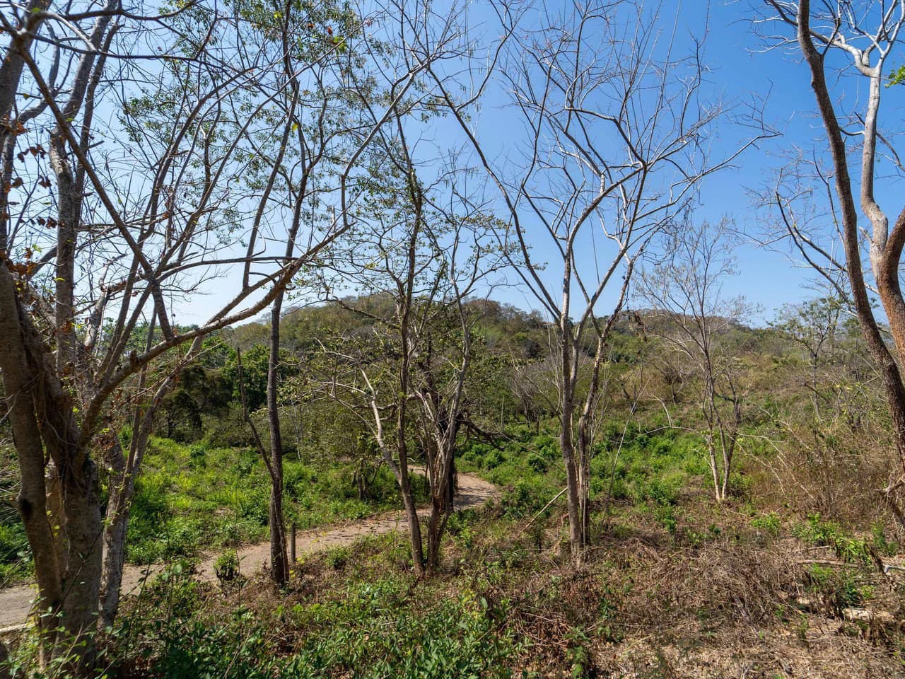 Finca Punta Indio: Dream Investment Opportunity - photo 9