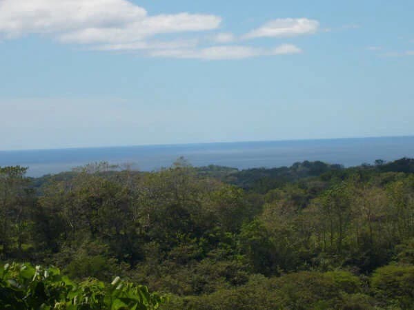 Ocean View Farm - photo 2