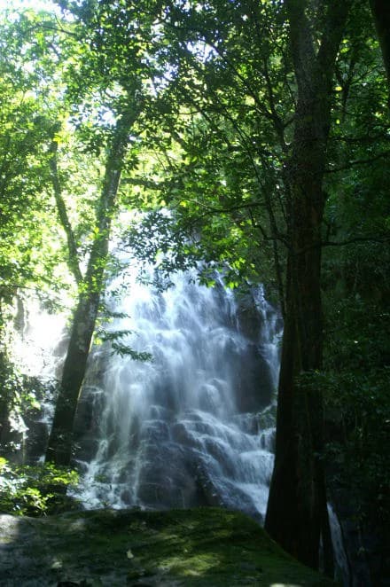 Small Mountain Hotel with camp ground: Charming B&B for Sale in the Mountains of Curubandé, Guanacaste – Nature, Tranquility, and Profitability in One Place. - photo 19