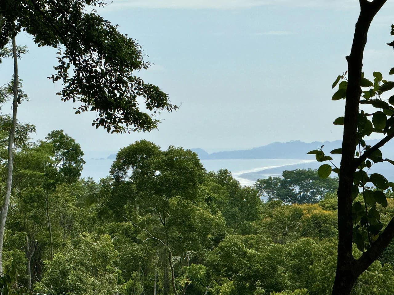 5.11 ACRES – Ocean And Mountain View Estate Property, Several Flat Buildable Areas, Legal ASADA Water!!! - photo 3