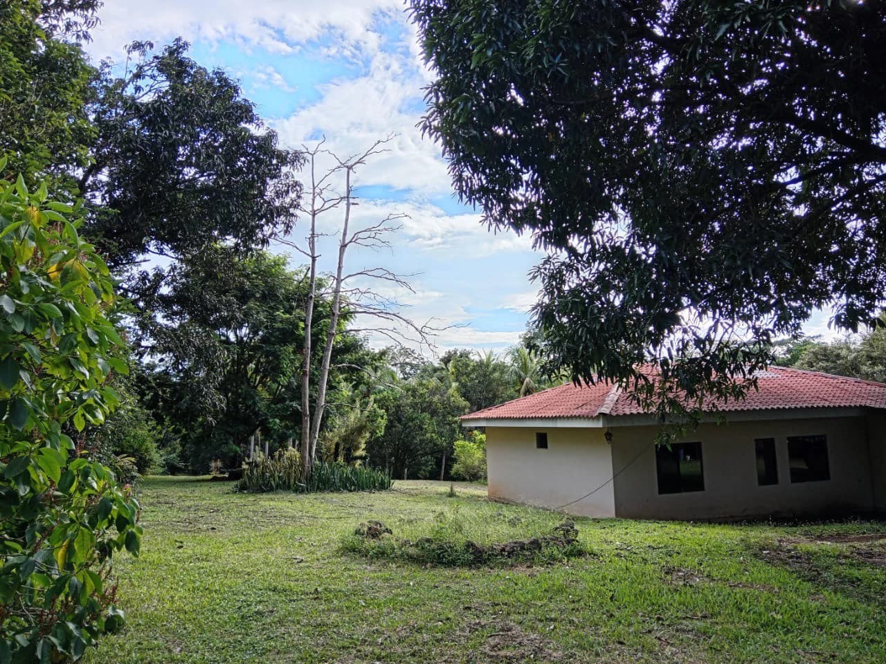 Propiedad San Mateo: Countryside House For Sale in Jesús María - photo 3