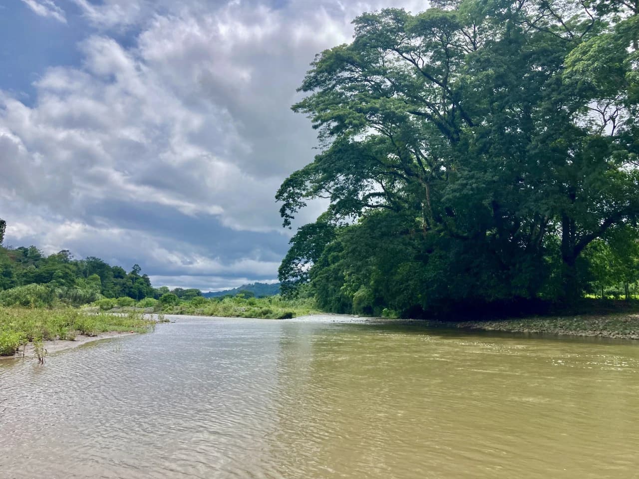 Frog Desing House: Property for Sale in Parrita, Costa Rica - photo 34