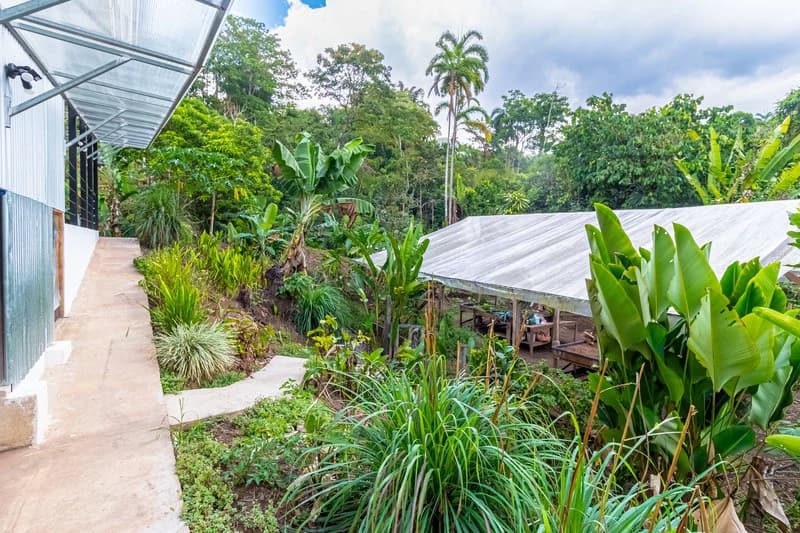 Casa San Pedrito: Beautiful house for sale in San Pedrito,(1,3hect) Perez Zeledon - photo 7