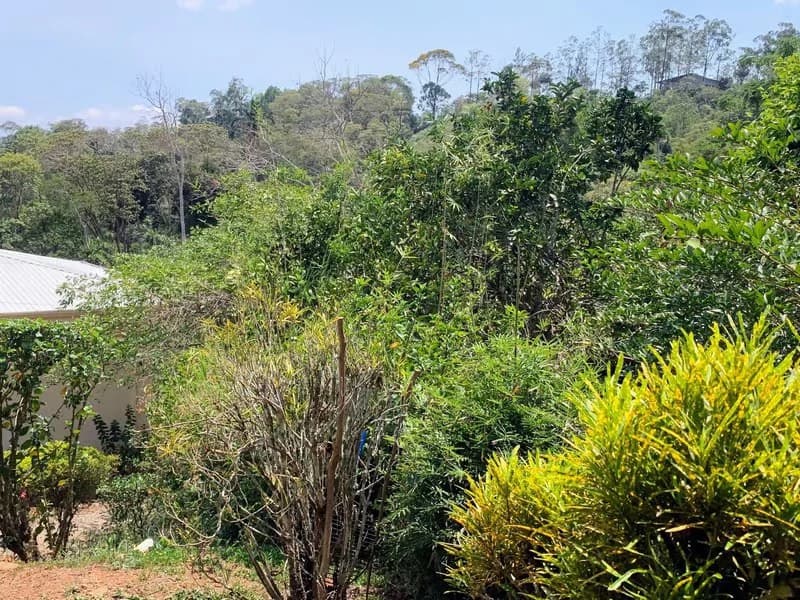 One-Bedroom with a Valley View!: Mountain House For Sale in San Rafael Norte - photo 16