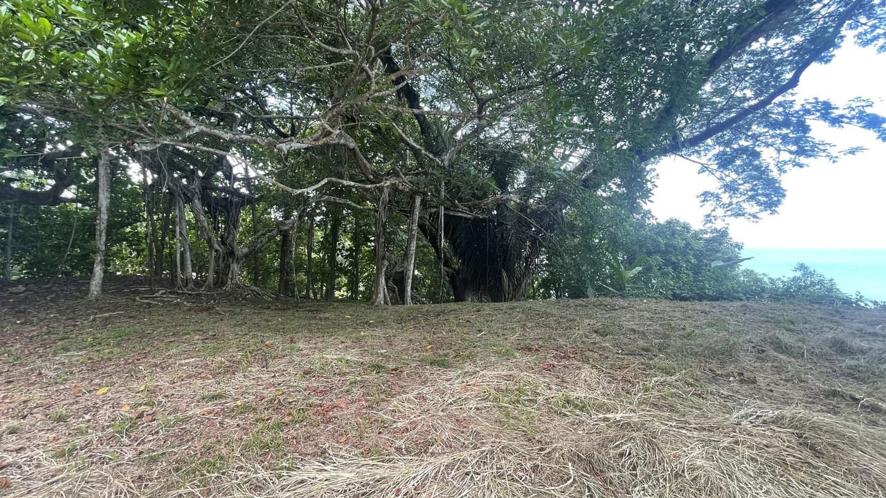 Lote playa Pita Puntarenas: Your Opportunity on Costa Rica’s Central Pacific Coast - photo 9