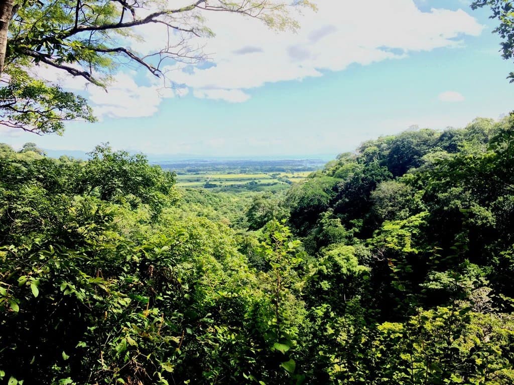 Great Ocean, valley and garden view Lots for sale in a Private Gated Community in Peninsula Papagayo - photo 3