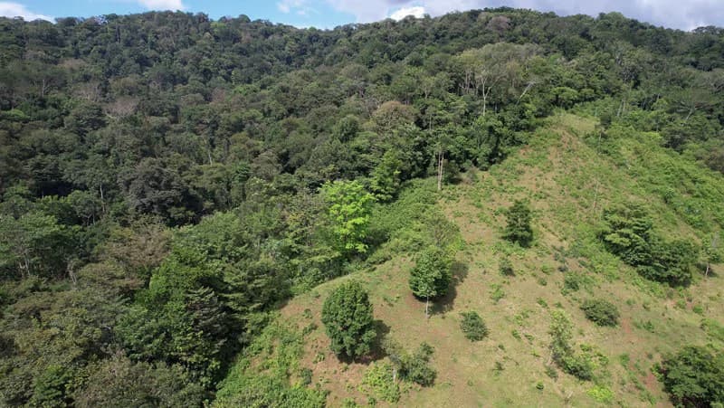 Ocean View & Primary forest 55-ha Rincon de Osa - photo 12