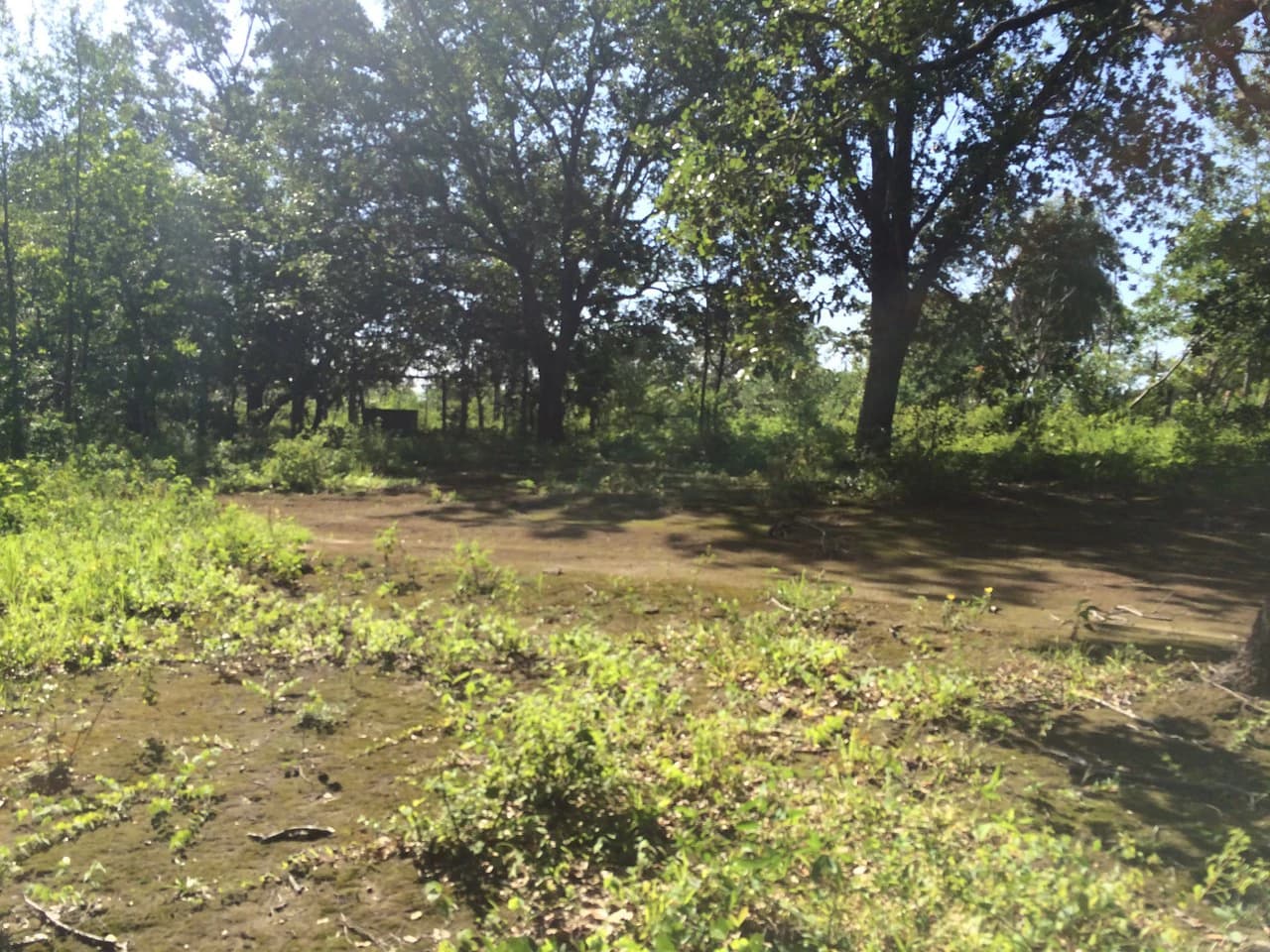 Finca de 31 hectáreas en Liberia: Great investment opportunity - photo 3