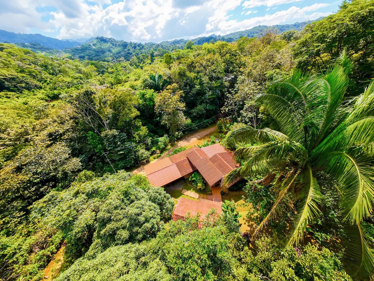Serene Jungle Home + Guest Cabin on 3 Acres and River - photo 32