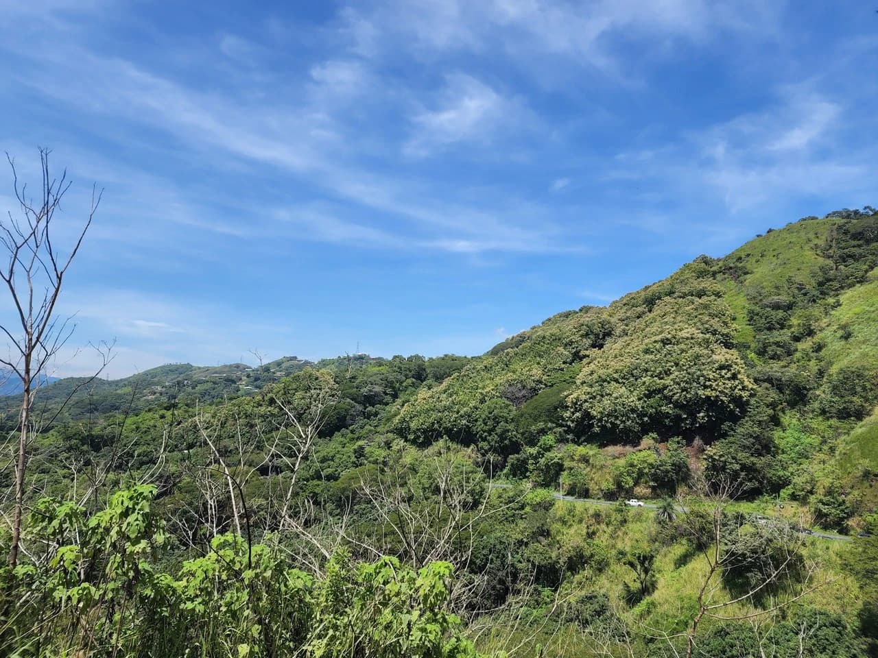 Countryside Home Construction Site For Sale in Atenas - photo 11