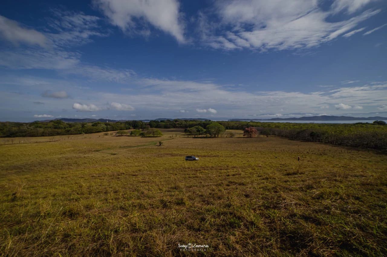 Land for Sale Lepanto Puntarenas overlooking the Gulf Costa Rica - photo 7