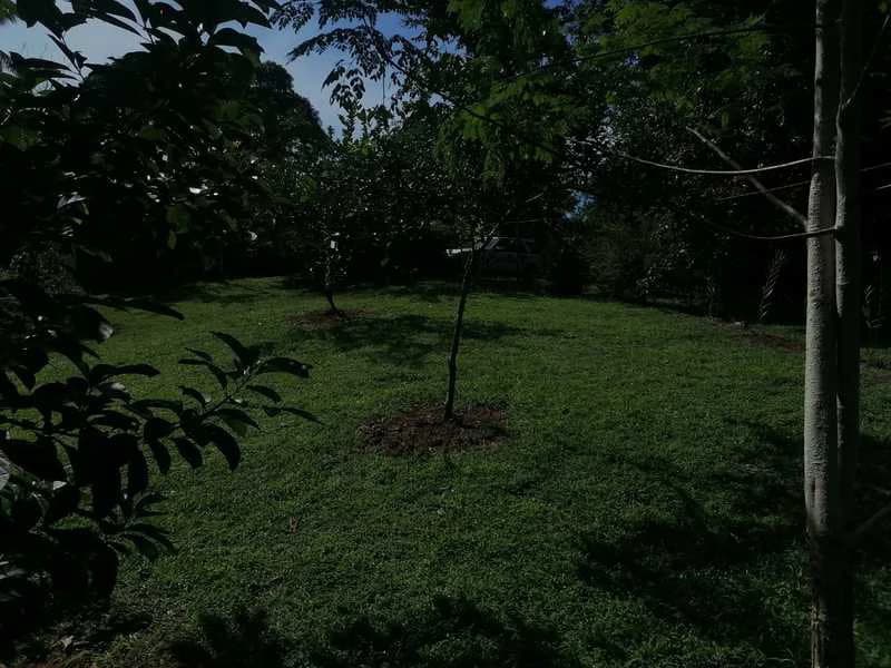 69.16 Acres Property | Mountain & Top Ocean View with Small Home - photo 34