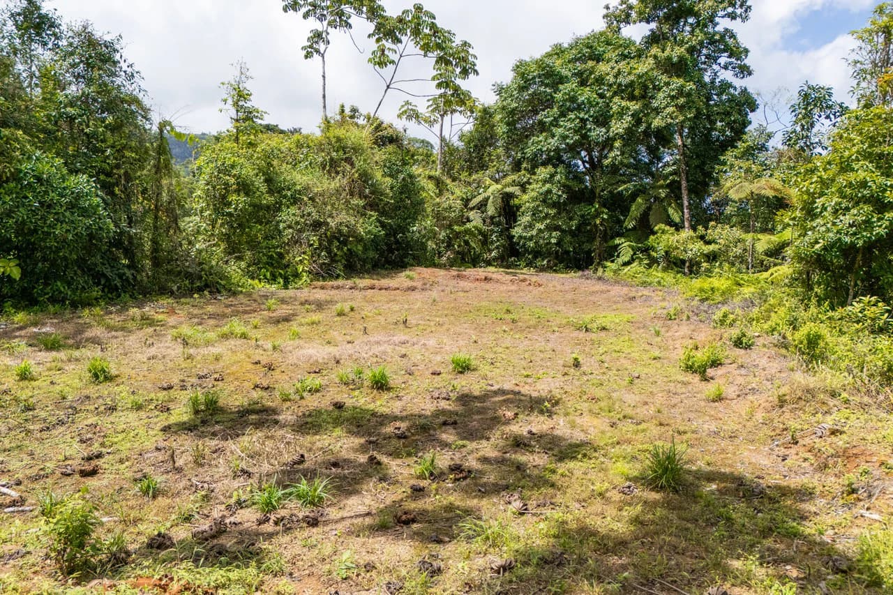 Near the Coast Home Construction Site For Sale in Ciudad Cortés - photo 16