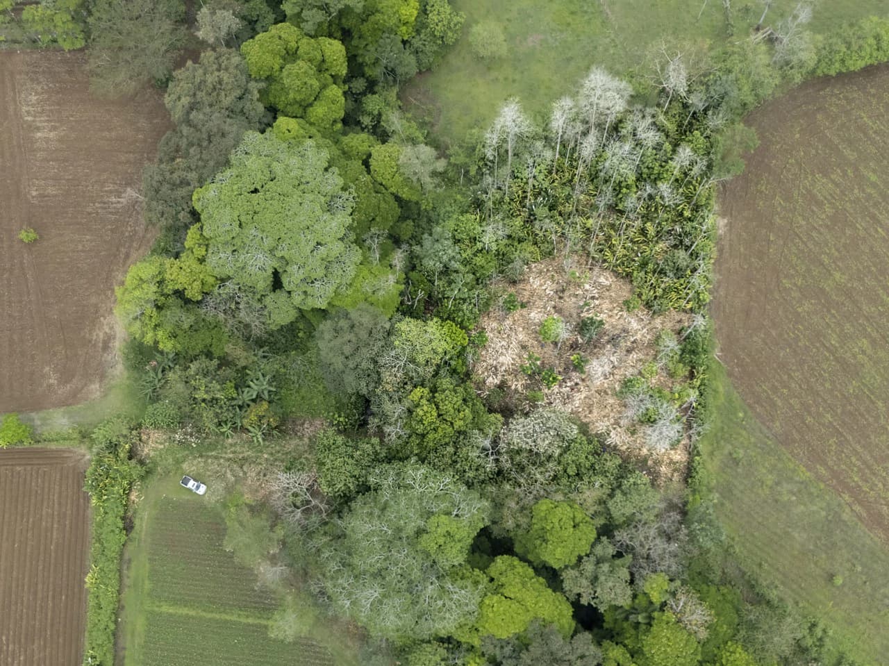$8 Dollars per meter: Countryside Development Parcel For Sale in Los Angeles - photo 11
