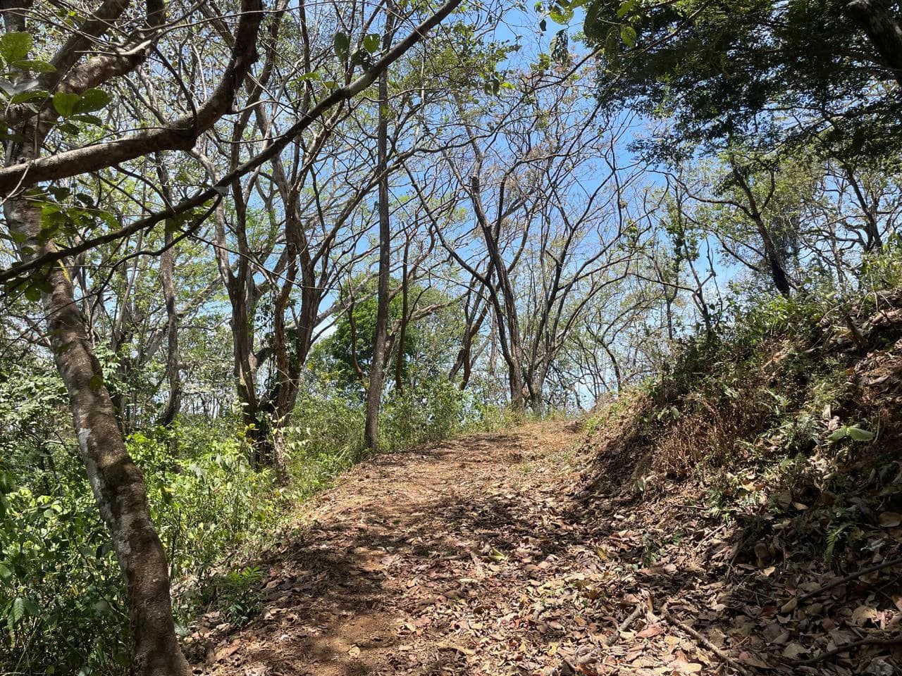 Ocean view property for sale Rodeo Ciudad Colon San Jose Costa Rica - photo 16