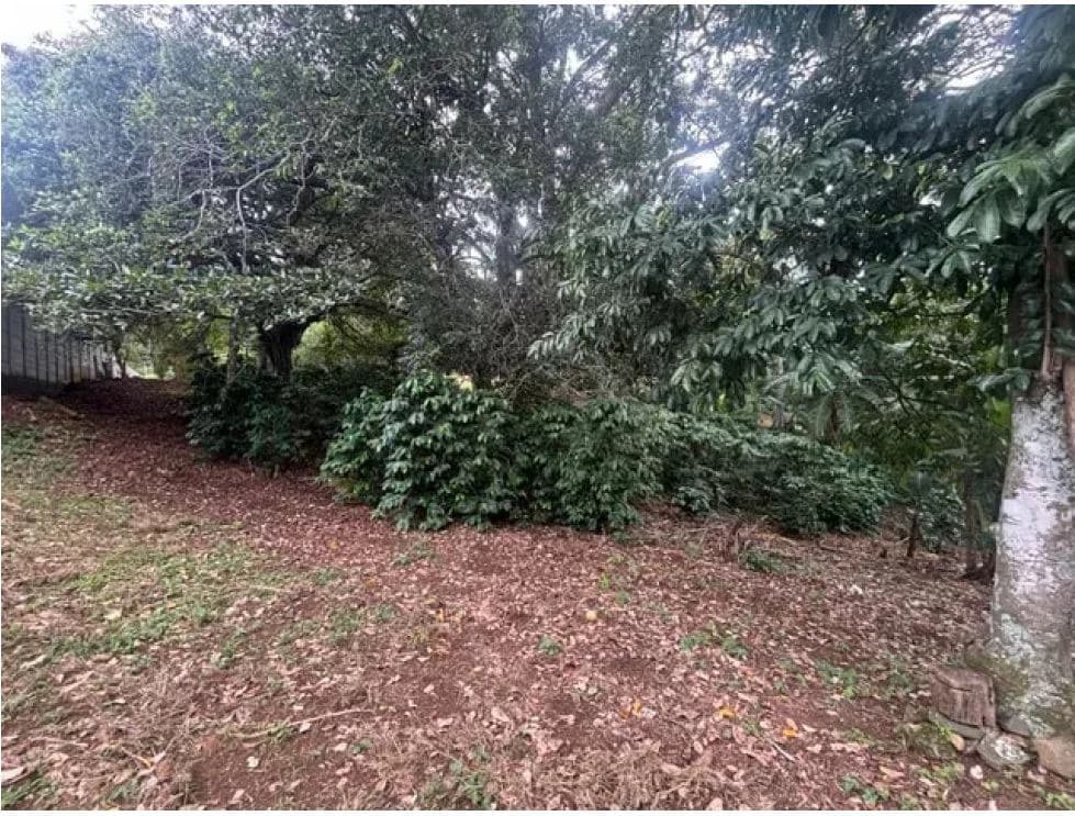 8223 m² Land in Atenas, Alajuela: Private Development in Natural Surroundings - photo 9