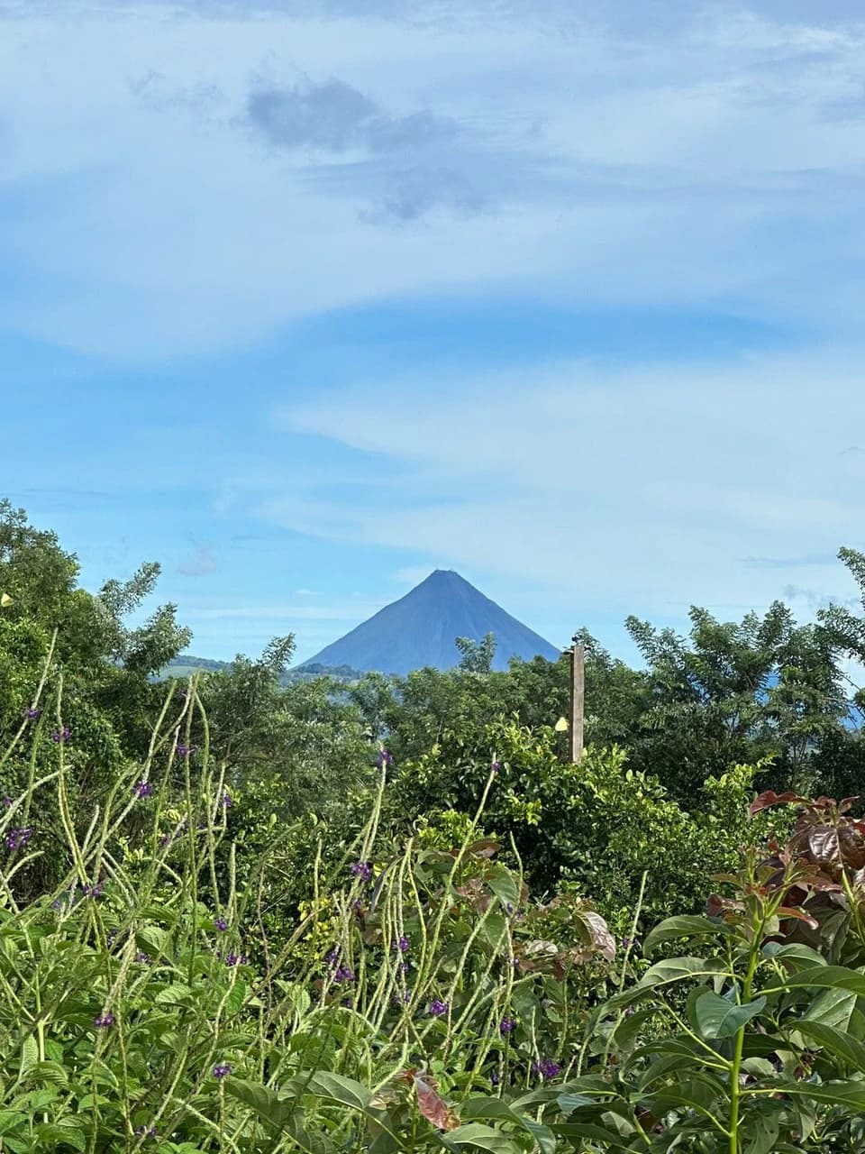 Lake Arenal Multi Family Home - Only 300 m from Lake Arenal - photo 8