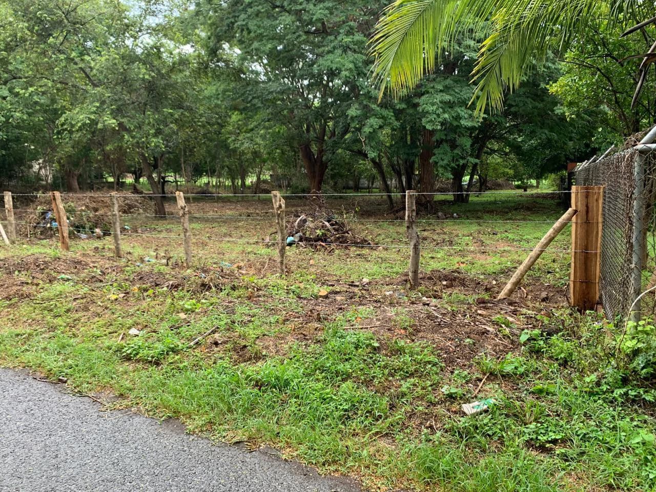 Great opportunity - Commercial property in Ocotal Beach - photo 4