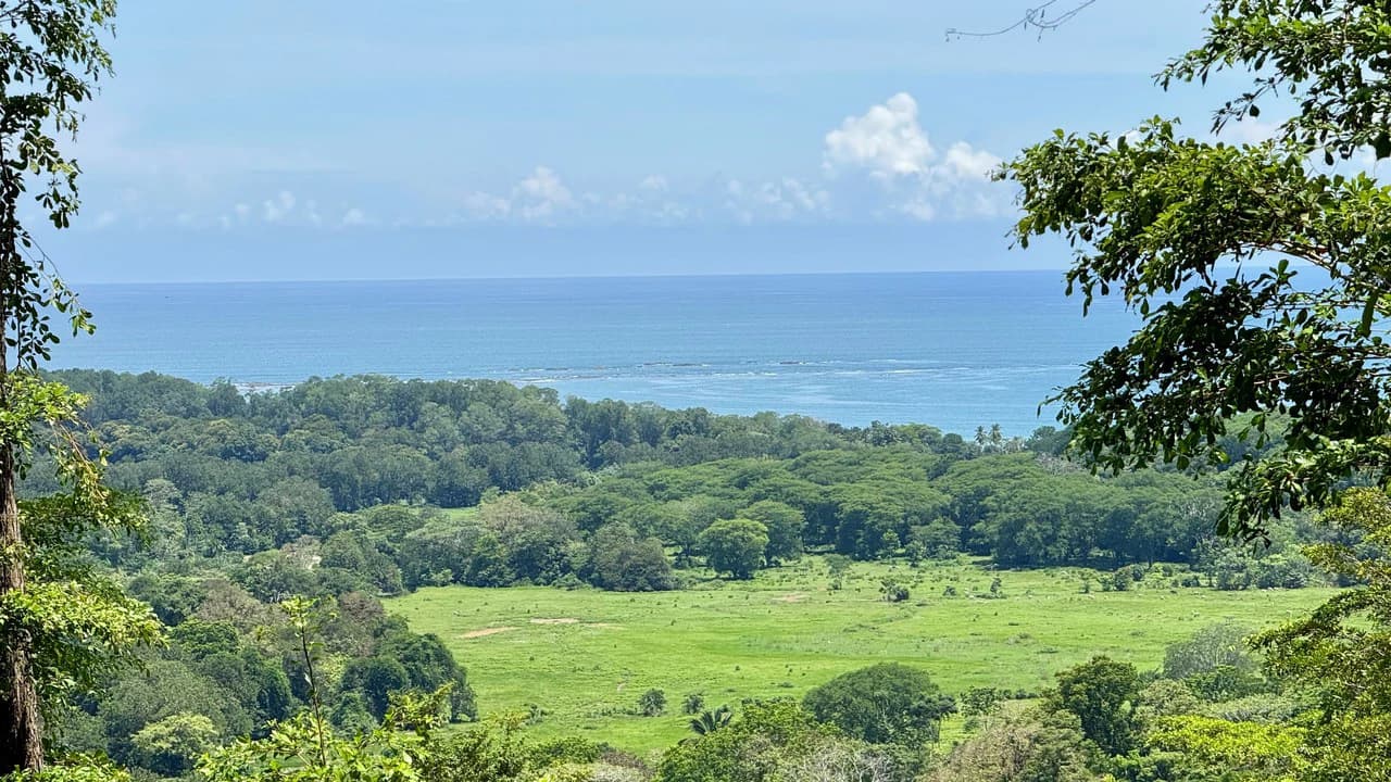 Exclusive and Unique Ocean Views lot in the Hills of Uvita! - photo 9