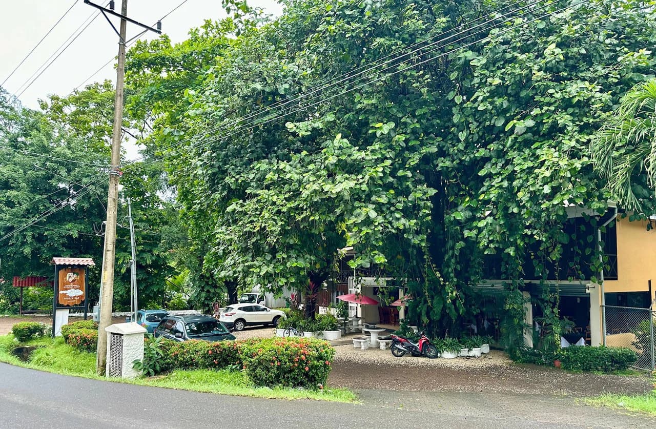 RESTAURANT FOR SALE with mini Hotel - photo 5