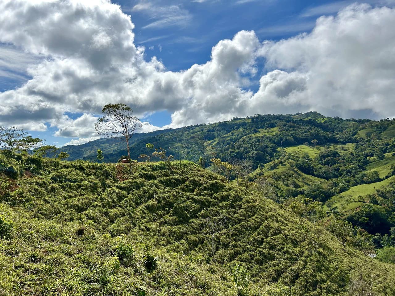Finca Ceibo Memo: Mountain Home Construction Site For Sale in San Isidro del General - photo 32
