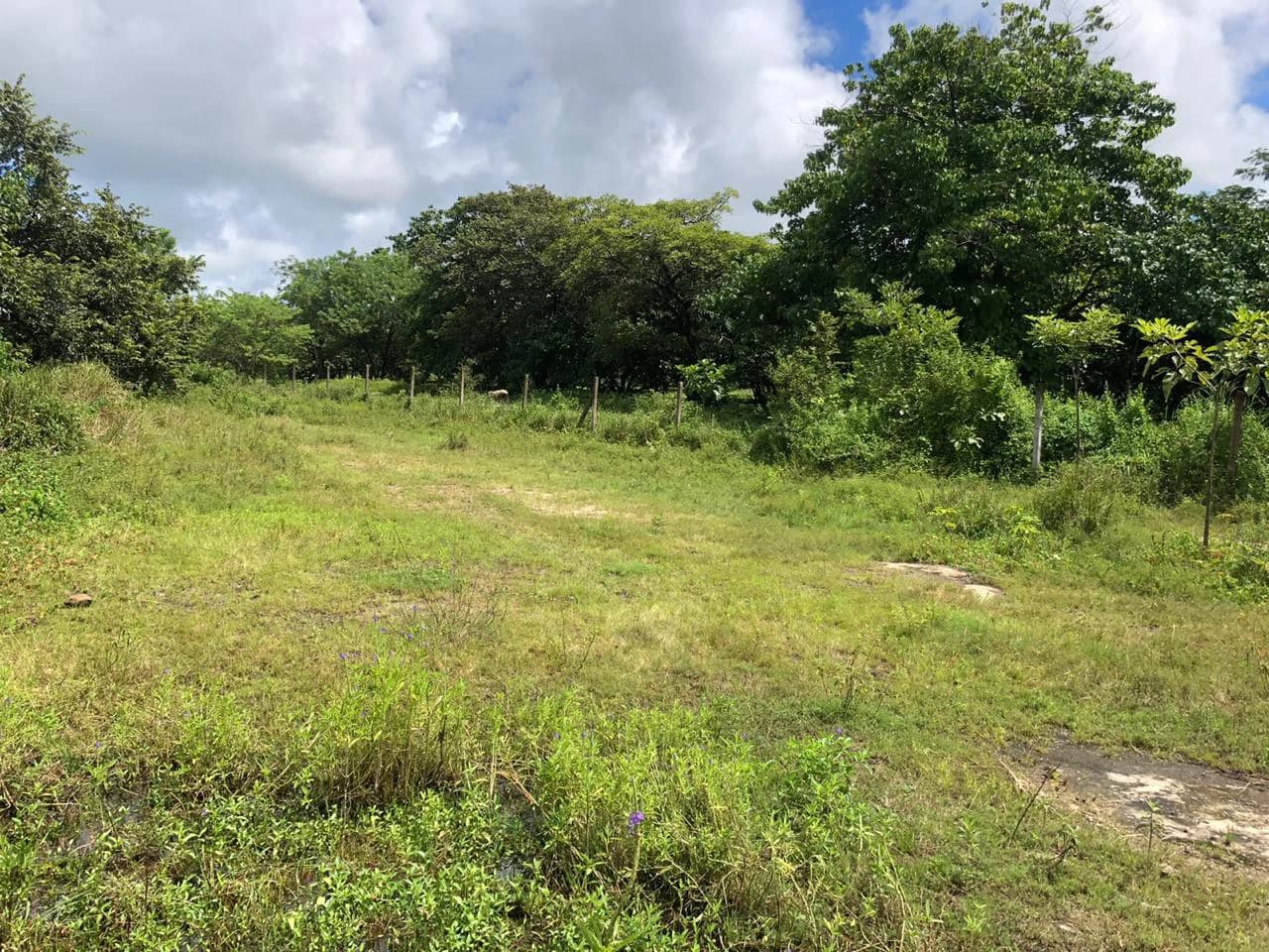 Development property for sale, Building project opportunity close to Liberia Airport and City with beautiful Flat property - photo 8