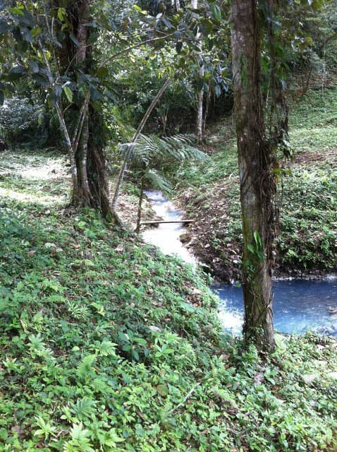 Hot and Cold Thermal Springs for Sale – Beautiful Property in Dos Ríos, Alajuela with Excellent Commercial Potential - photo 78