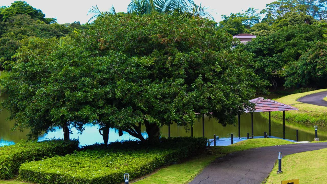 9A L: Exclusive 3BR Condo for Sale in the Most Exciting Beach Community in the Costa Rica Central Pacific! - photo 4