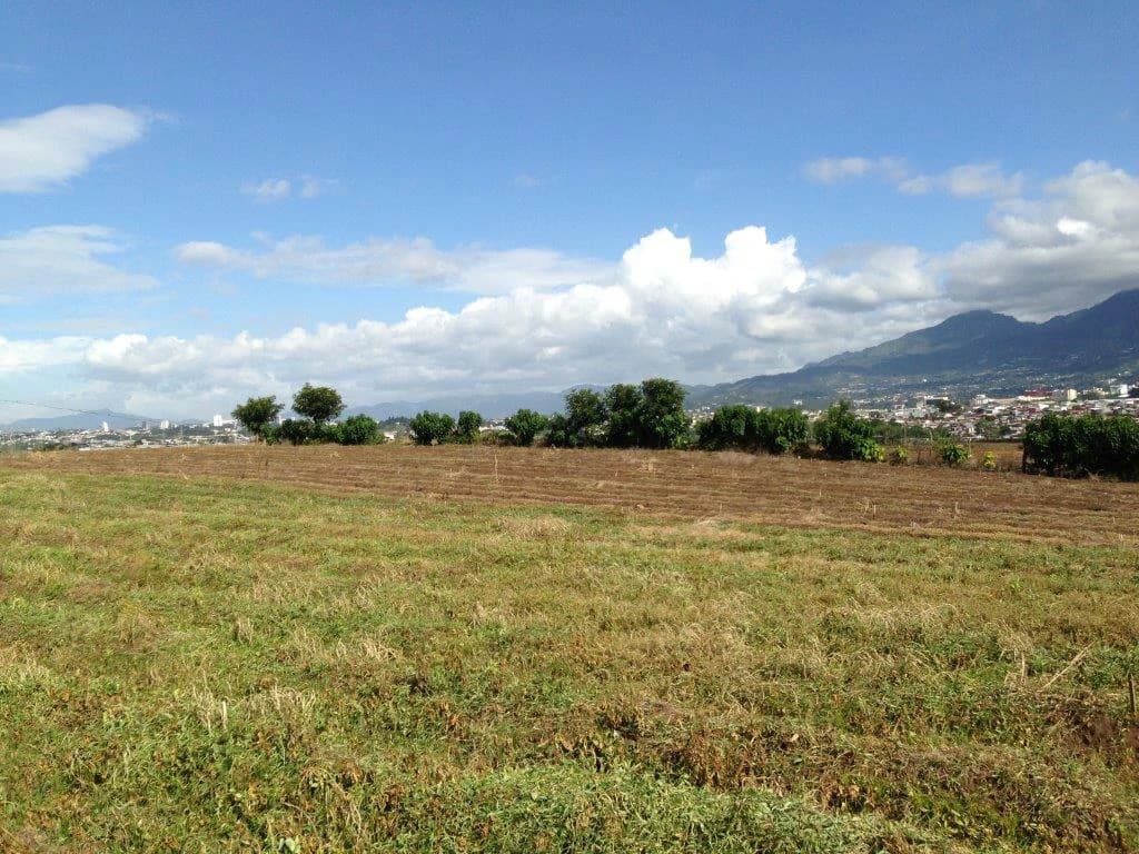 Mountain Agricultural Land For Sale in La Asunción - photo 5