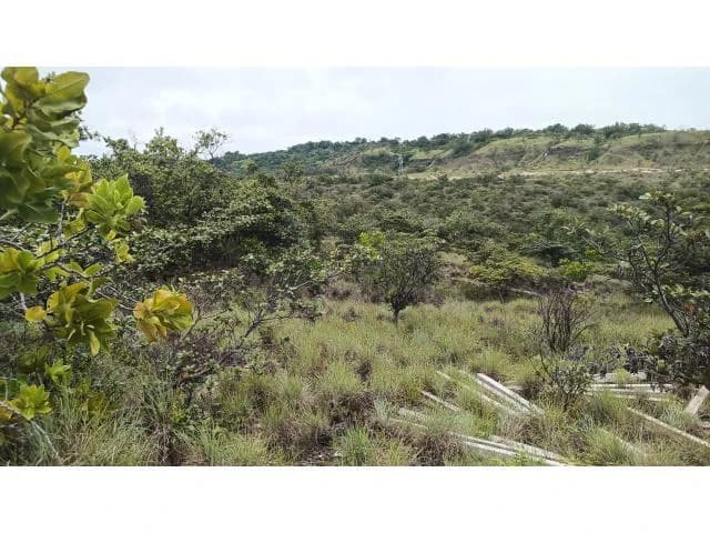 Huge Tico-Farm for sale with a big house in the mountains of Liberia, surrounded by nature and fantastic valley views - photo 29