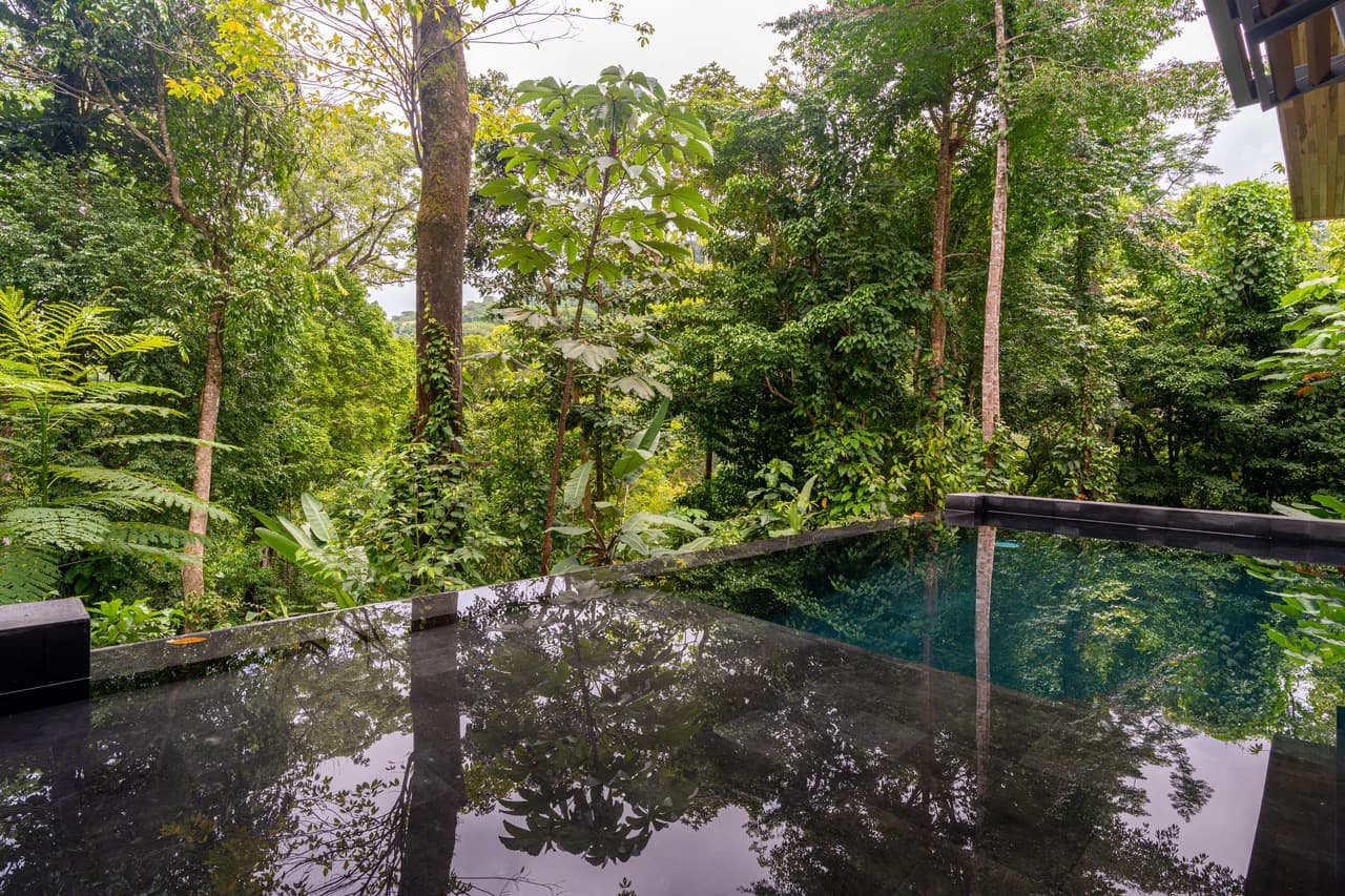 Casa Selva Vida, Uvita Costa Rica: Mountain House For Sale in Uvita - photo 28