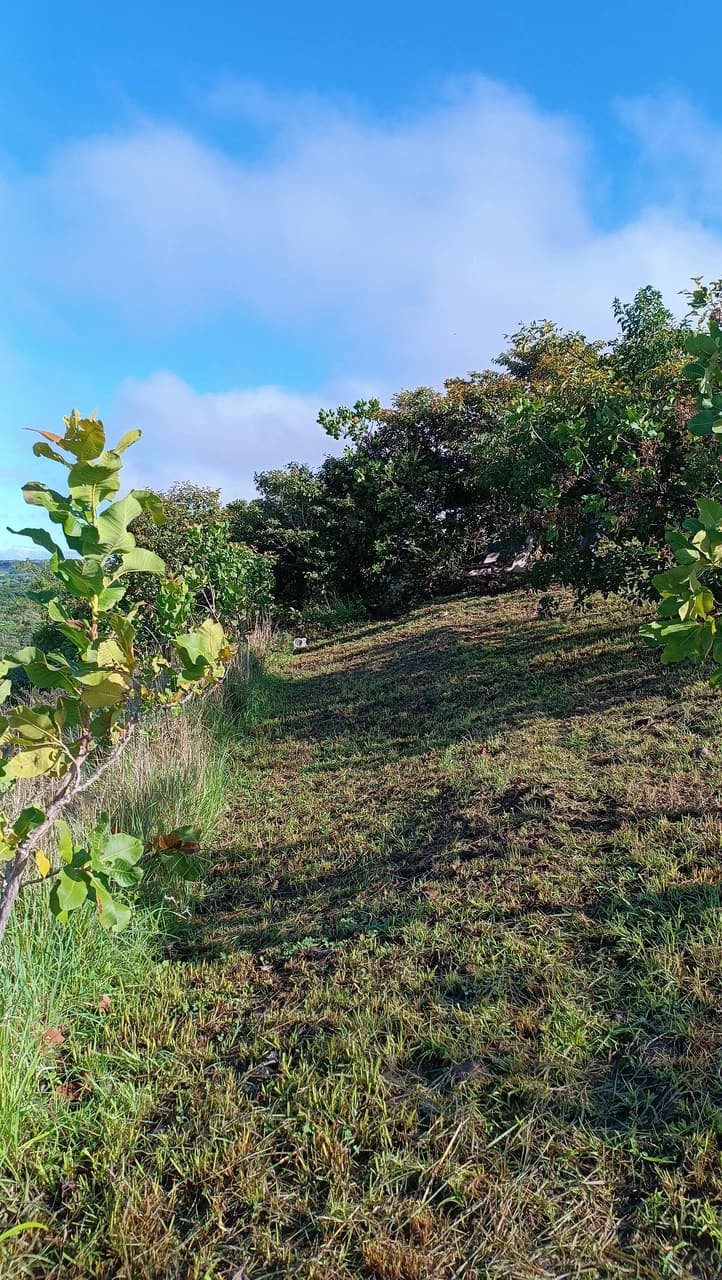 Hill top house with amazing sunset views GB0125: Peaceful Retreat with developing Potential: Property with 2 Homes and Panoramic Views in Guayabo de Bagaces - photo 31