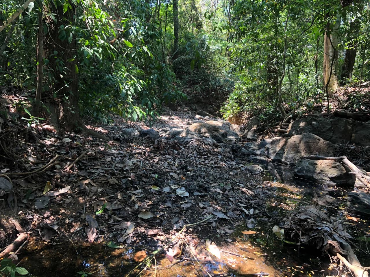 Prime Real Estate Opportunity, Lot with Creek Border in Santo Domingo hills - photo 4