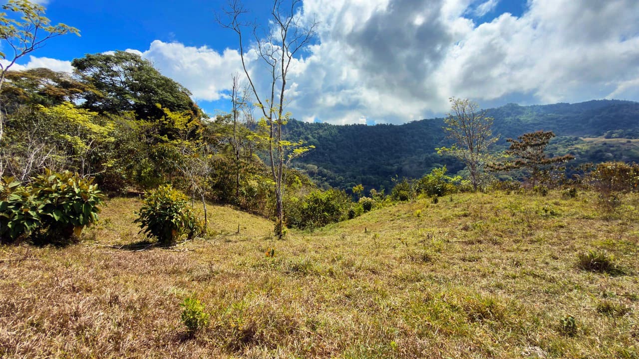 2.8 HA FARM FOR SALE IN SAN LUIS DE MORETE | MOUNTAIN VIEWS AND NEAR THE OCEAN - photo 2
