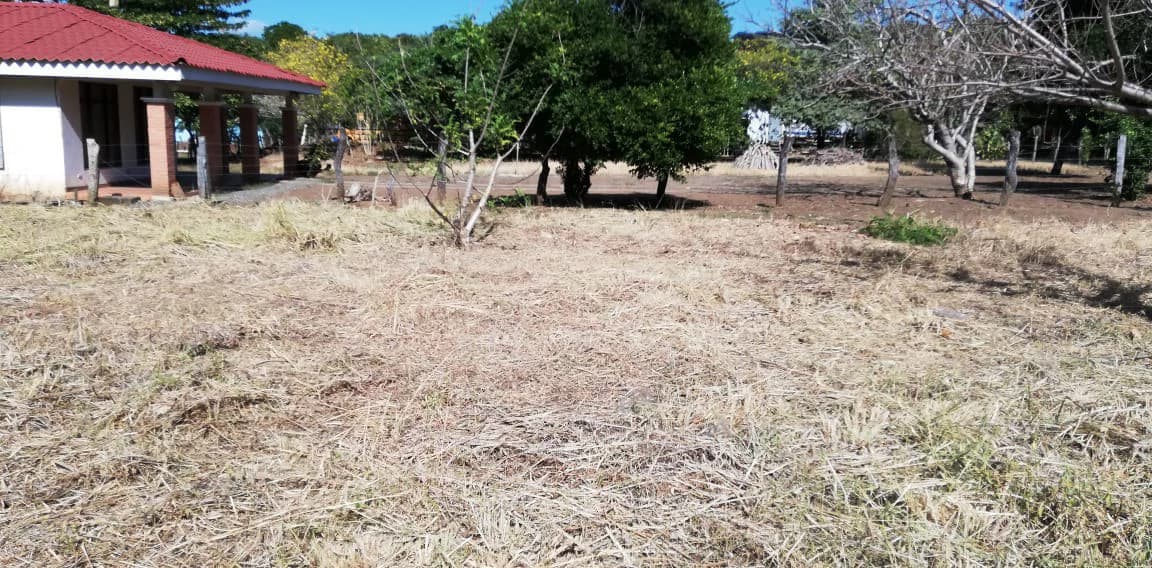 Property in Coco Beach - photo 11